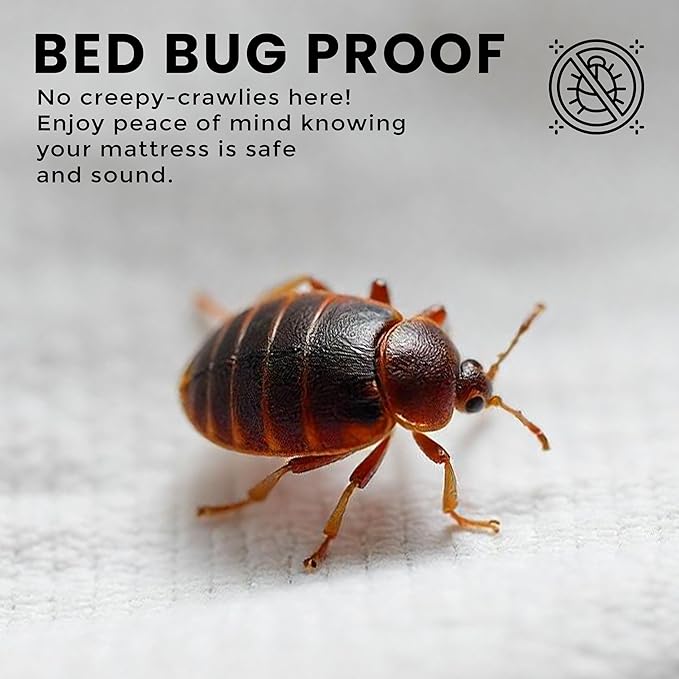 Waterproof Mattress Protector - Twin