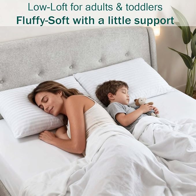 Down Alternative Bed Pillow - King - 20 x 36 in - 2 Piece