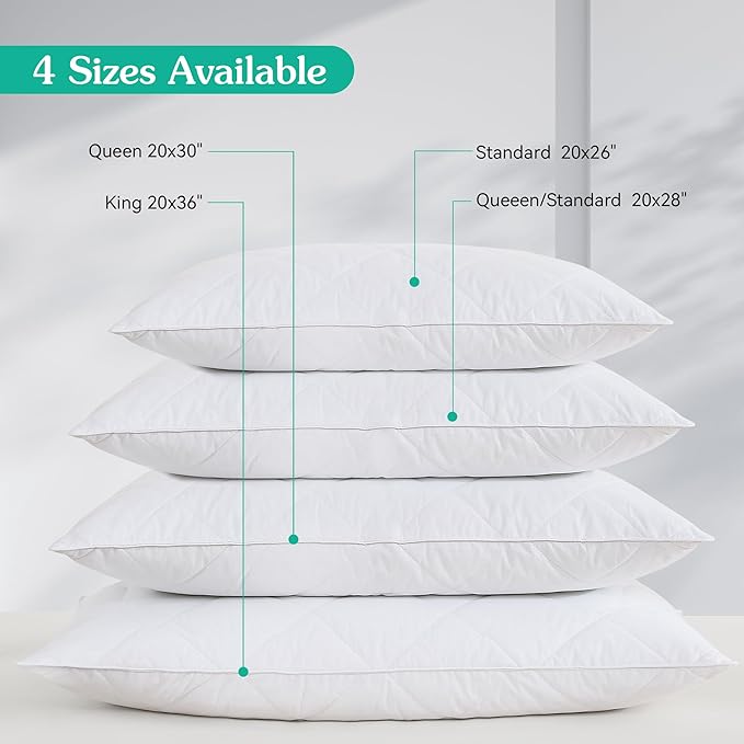 100% Cotton Bed Pillow - Standard