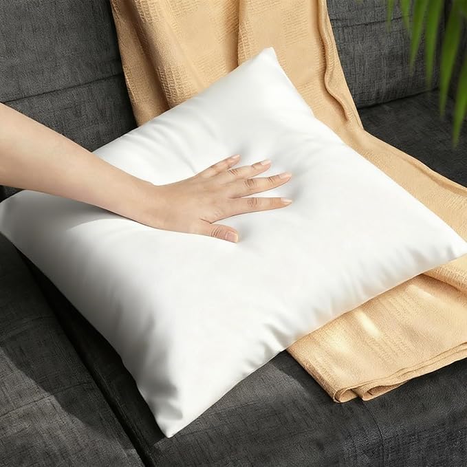 Pillow Insert