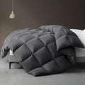 Duvets Down Comforter - Queen