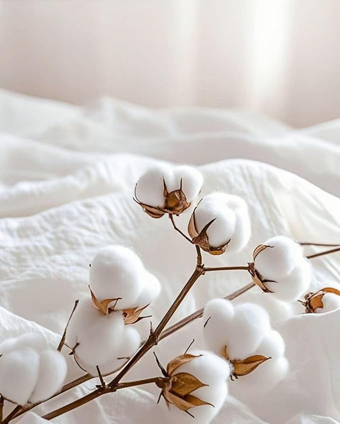 100% Cotton Flat Sheet - Twin