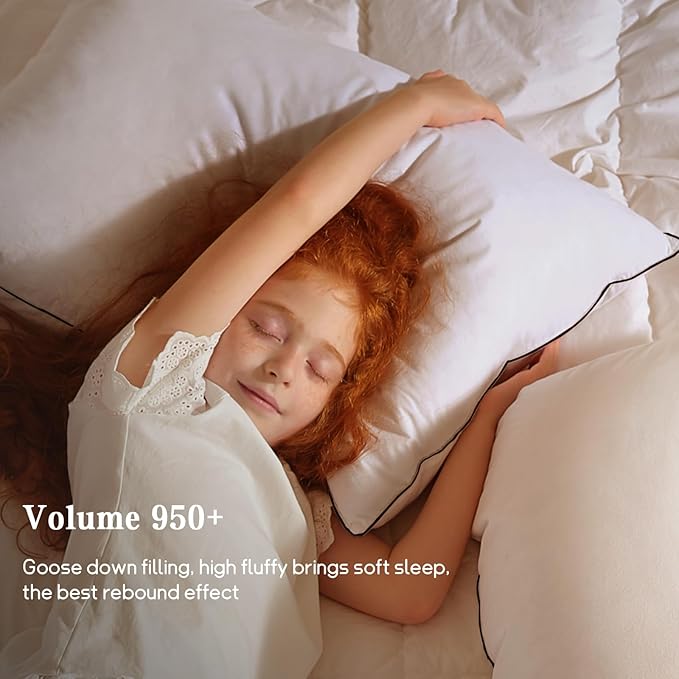 Bed Pillow - Standard
