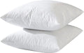 Pillow Insert - 2 Piece