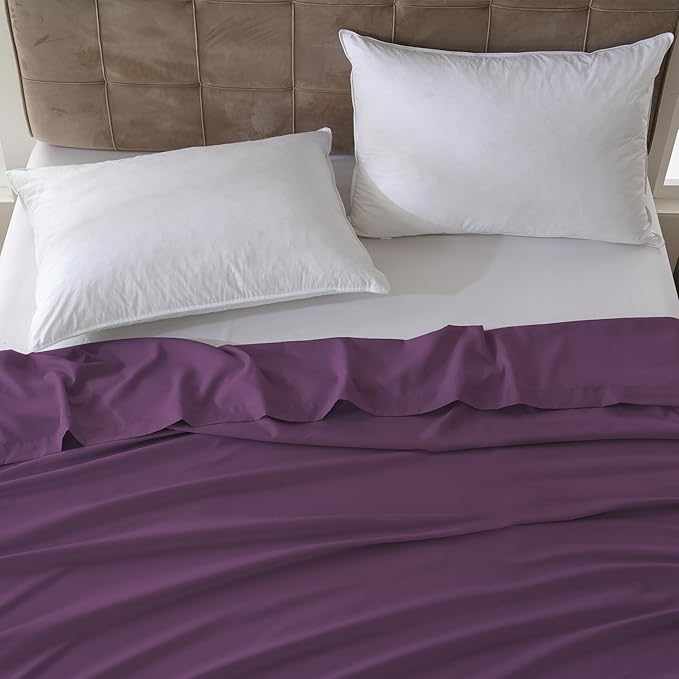 Microfiber Hypoallergenic Flat Sheet - Queen - 6 Pack