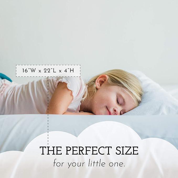 Hypoallergenic Bed Pillow