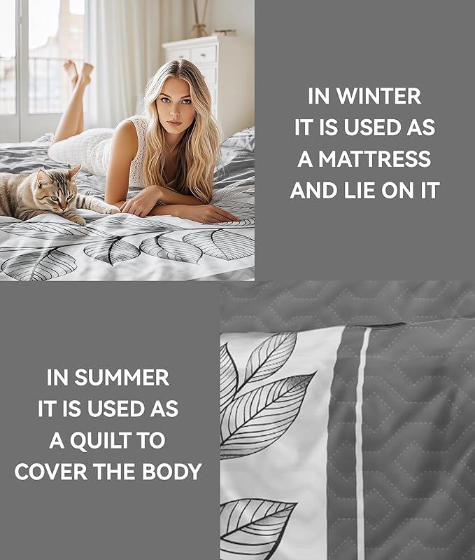 Microfiber Bed Sheet Set - Queen - 3 Piece