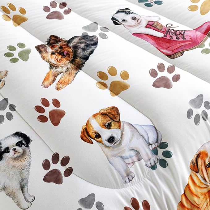 Comforter Set - Queen - 3 Piece