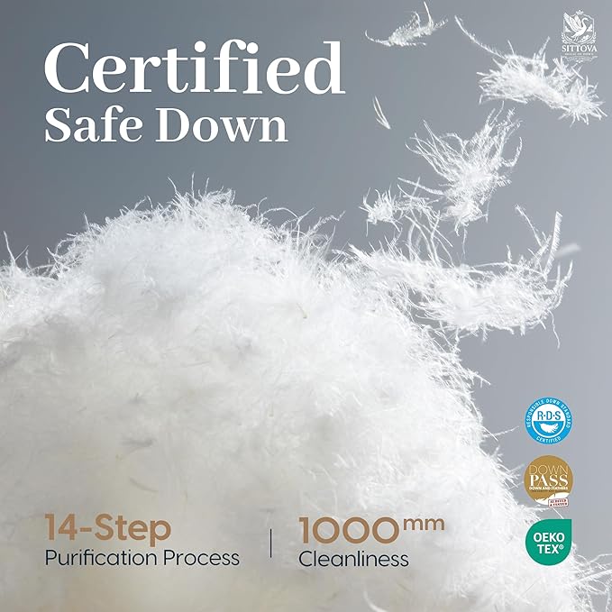 100% Cotton Duvets Down Comforter - Queen