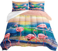 Comforter Set - Full