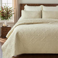 Quilt Set - Queen - 3 Piece