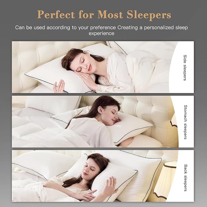 Bed Pillow - Queen - 20 x 28 in - 2 Pack