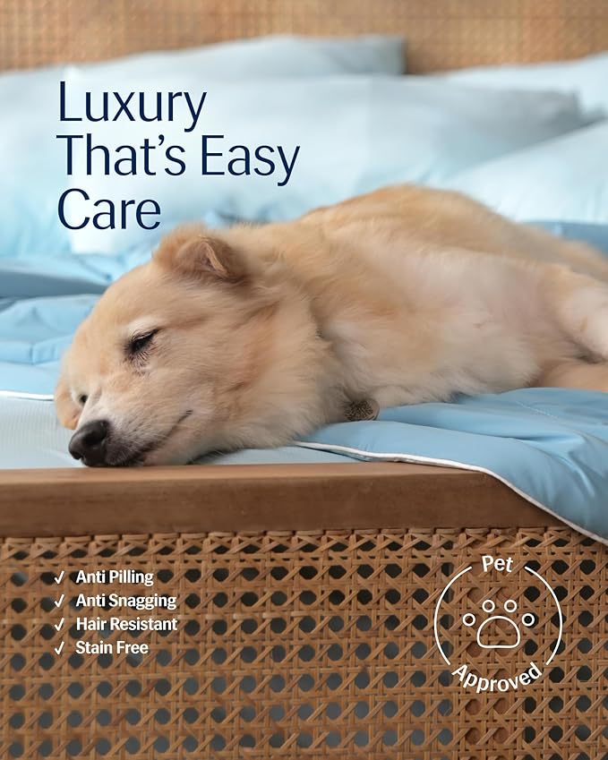 Cooling Duvets Down Comforter - Queen