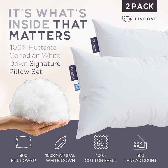 Bed Pillow - Standard - 2 Pack