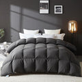Duvets Down Comforter - Full