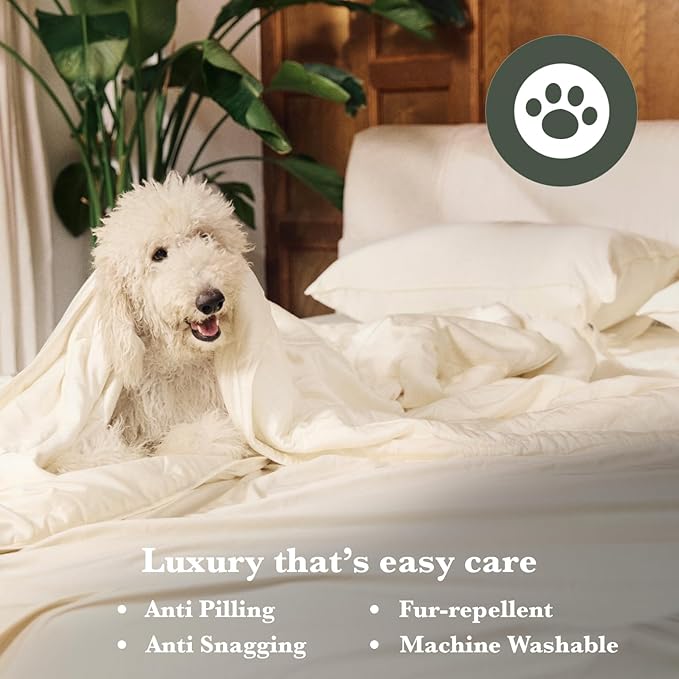 Bamboo Bed Sheet Set - Queen