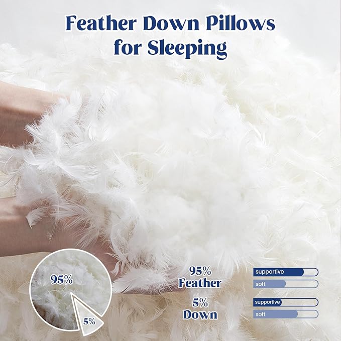 100% Cotton Bed Pillow - Queen - 2 Piece