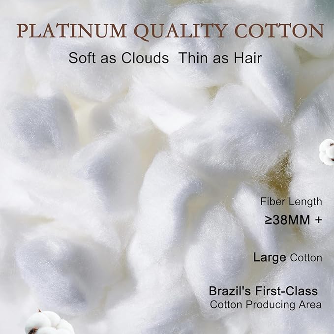 Mulberry Silk Duvets Down Comforter - Queen