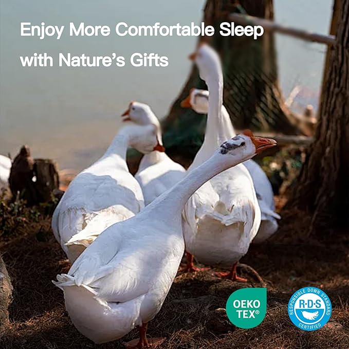 100% Cotton Comforter - California King