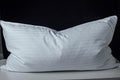 100% Cotton Bed Pillow - King - 20 x 36 in