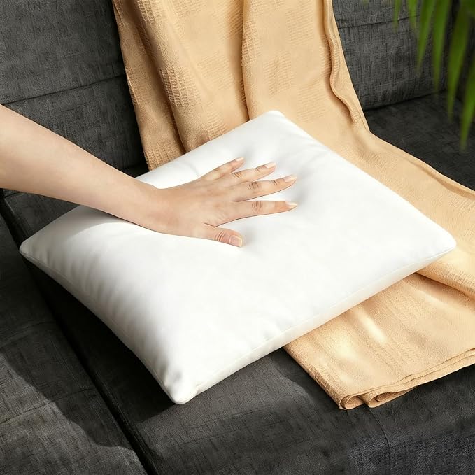 Pillow Insert - 18 x 18 in