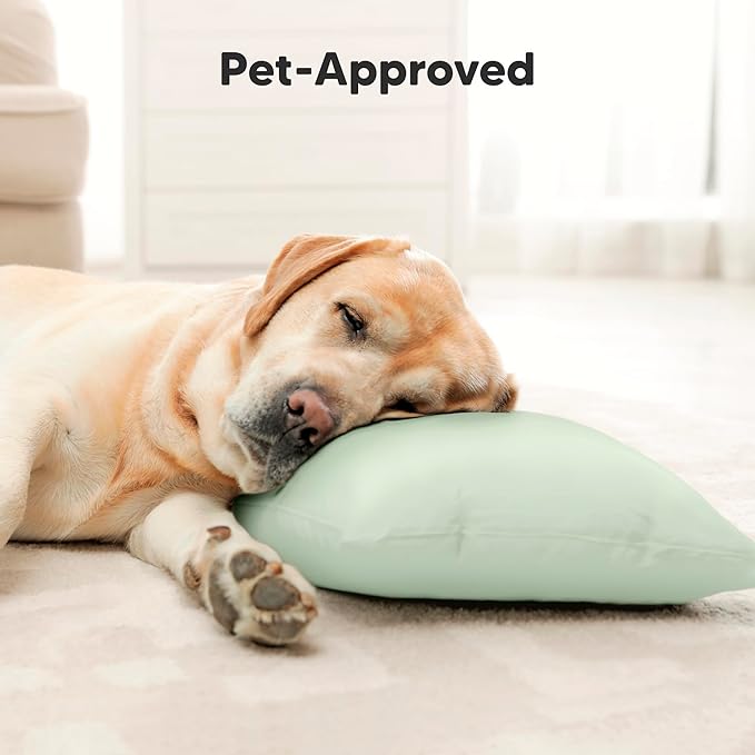 Bed Pillow