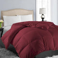 Down Alternative Comforter - Twin XL - 68 x 92 in