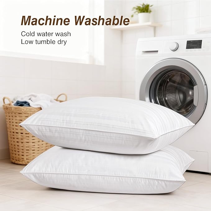 100% Cotton Bed Pillow - Queen - 2 Piece