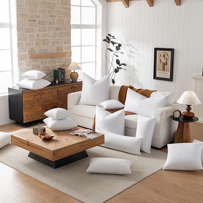 Pillow Insert - 2 Piece