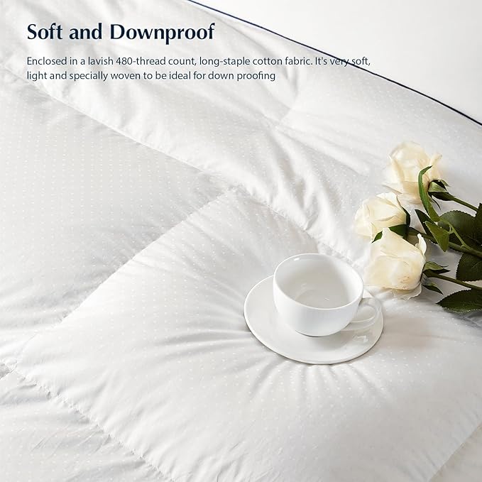 100% Cotton Duvets Down Comforter - Queen
