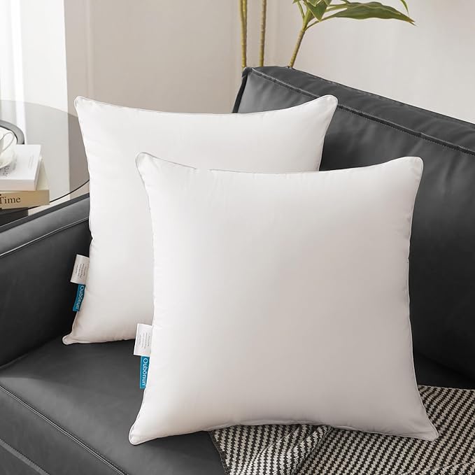 100% Cotton Pillow Insert - 2 Piece