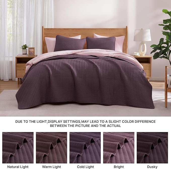 Quilt Set - Queen - 3 Piece