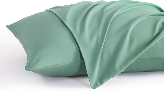 Microfiber Pillowcase Set - King - 20 x 40 in - 2 Pack - 2 Piece