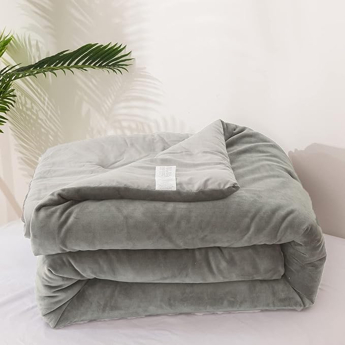 Velvet Comforter Set - Twin - 3 Piece