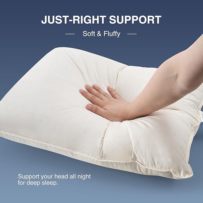 Bed Pillow - Queen - 2 Piece