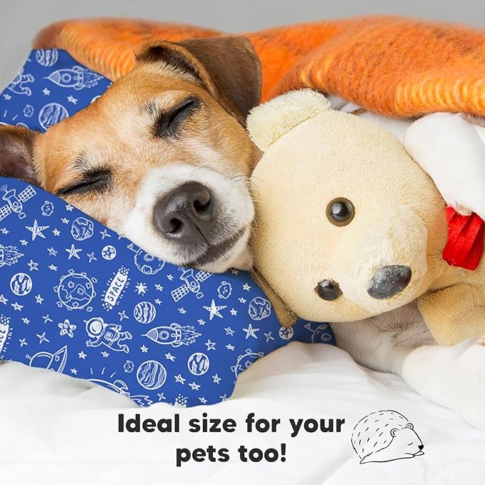 Bed Pillow