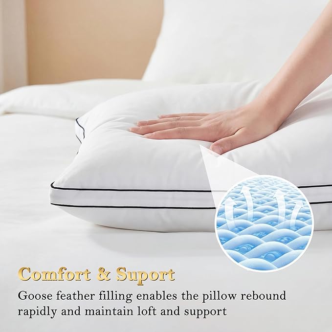 Bed Pillow - Standard - 2 Piece