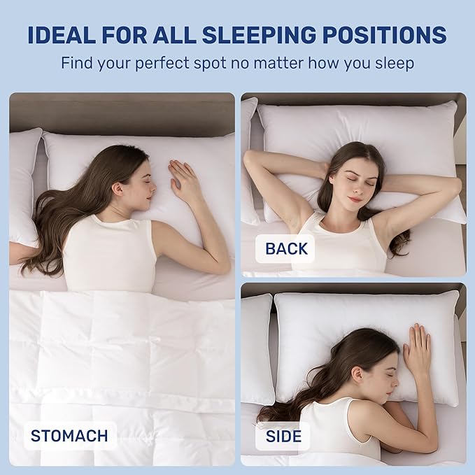 100% Cotton Bed Pillow - Standard - 2 Piece