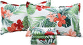 100% Cotton Hypoallergenic Bed Sheet Set - Full - 4 Piece