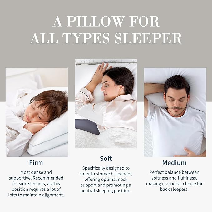Bed Pillow - King