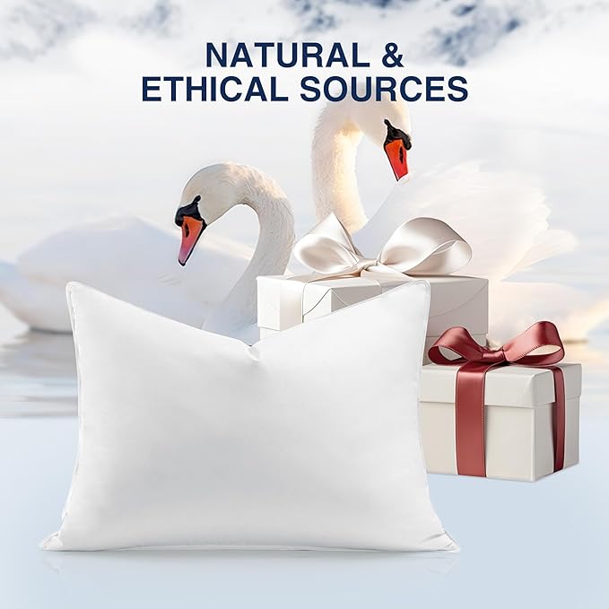 100% Cotton Bed Pillow - King - 2 Piece