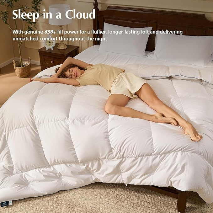 100% Cotton Duvets Down Comforter - Twin