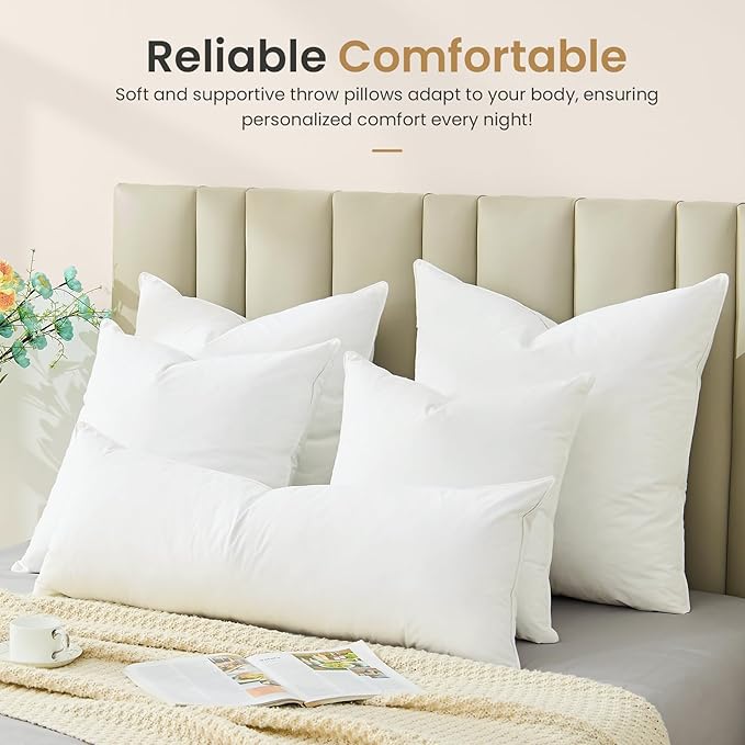 Pillow Insert - 2 Piece