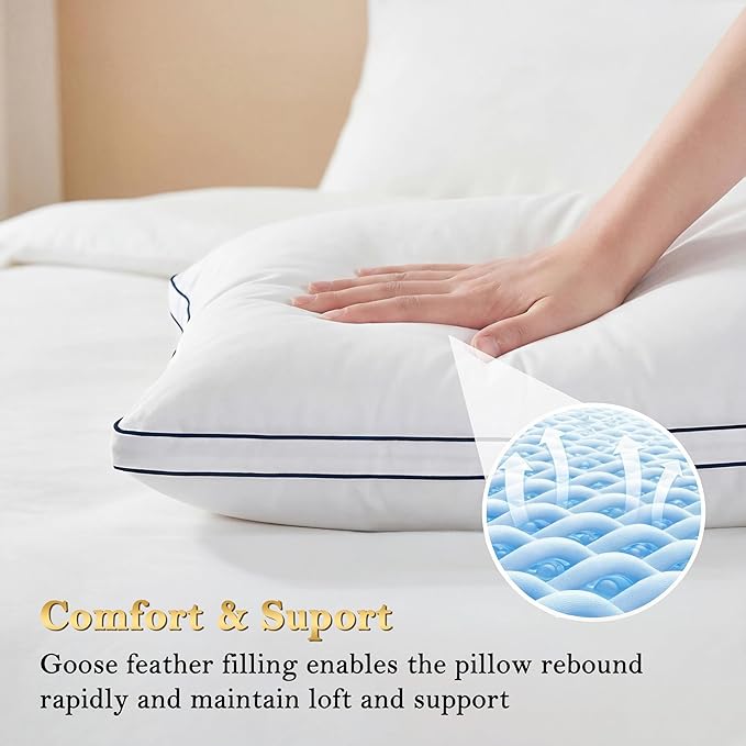 Bed Pillow - Standard - 2 Piece