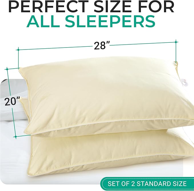 Bed Pillow - Standard - 20 x 28 in - 2 Piece