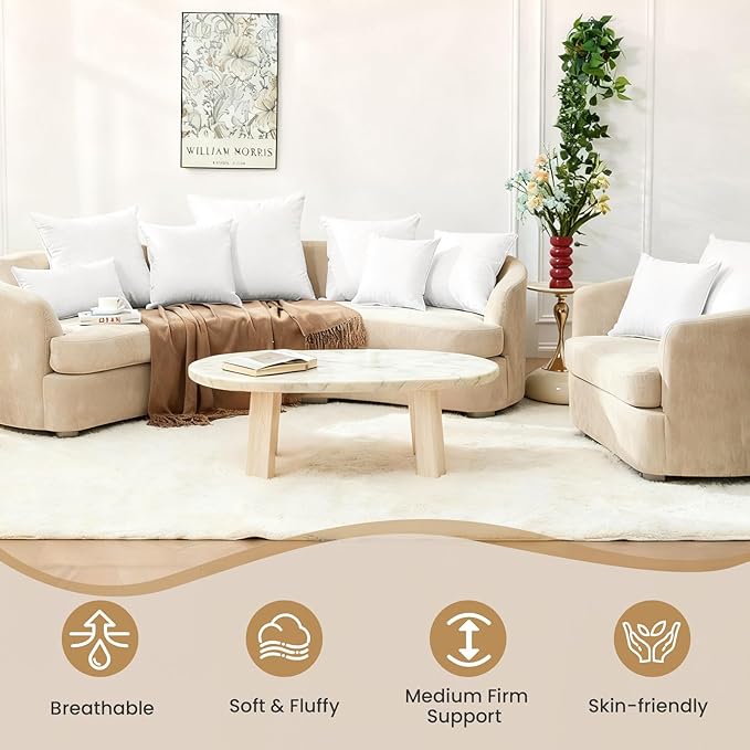 Pillow Insert - 2 Piece