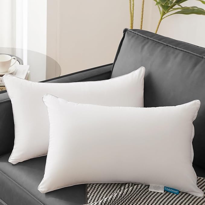 100% Cotton Pillow Insert - 2 Piece