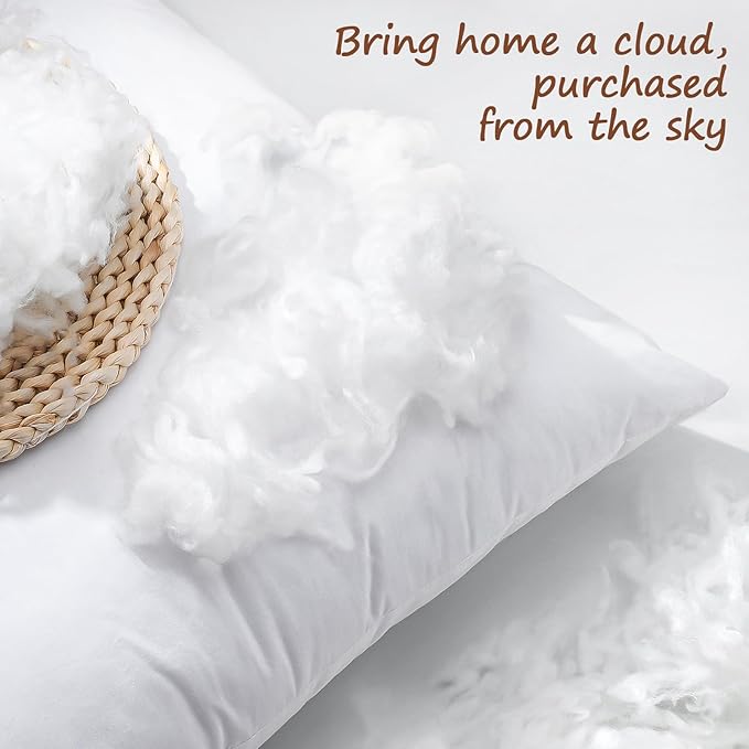 100% Cotton Pillow Insert - 2 Piece