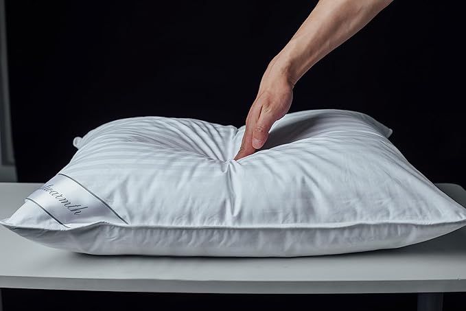100% Cotton Bed Pillow - Queen - 20 x 30 in