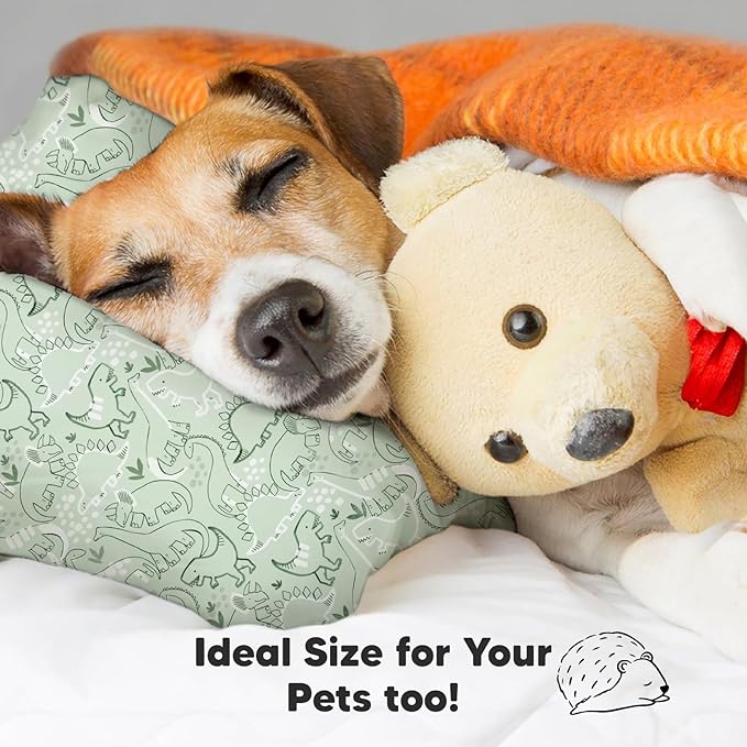 Bed Pillow
